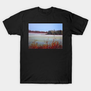 Winter in Island Lake Park T-Shirt